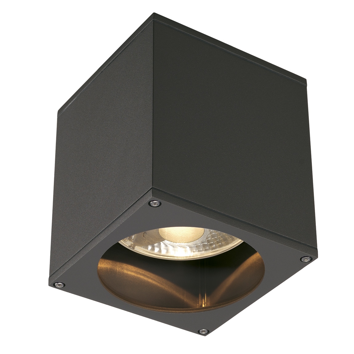 SLV 229555 BIG THEO CEILING OUT светильник потолочный IP44 для лампы ES111 75Вт макс., антрацит SLV 229555 BIG THEO CEILING OUT светильник потолочный IP44 для лампы ES111 75Вт макс., антрацит