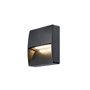 SLV 1002869 DOWNUNDER OUT square IP65 светильник настенный с LED 4,5Вт 3000/4000K, антрацит
